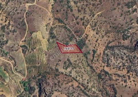 Konya Hadim Yelmez Köyünde 2.960 M² Bağ Satılıktır