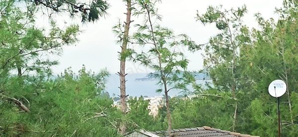 Kuşadası Soğucak 390m2 Deniz Manzaralı Köşe Parsel