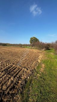 Üsküpte Satılık 7 Dönüm Tarla