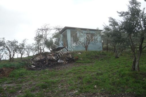 İzmir Torbalı Gold Emlaktan Satılık Bahçeli Ev