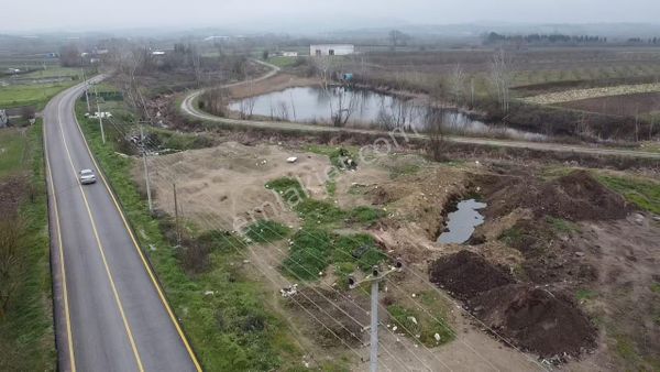 Sakarya Söğütlüde Kadastral Yola Cephelı Satılık Tarla