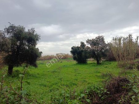 Acarlar Emlaktan Karaçay Mah. 2777 M2 Sanayi İmarlı Satılık Arsa