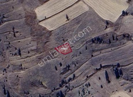 Konya Ilgın Belekler Köyünde 602 M² Tarla Satılıktır