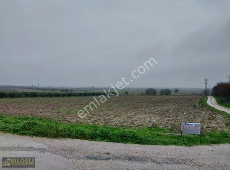 Yunusemre Gülbahçe Mahallesi Asafalt Yol Kenarı Satılık Tarla
