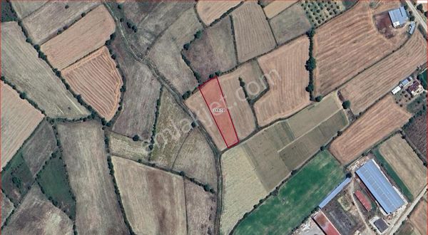 Asya Evim Emlaktan Ağlasun Hamam Mah. Satılık Fırsat Tarla