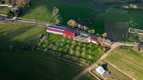 3 Hafta Geçerli Fiyat 4 Dönüm İçinde Besi Çiftliği & Ruhsatlı Ev