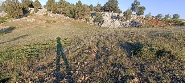 Muğla Seydikemer Yayla Karaçulha Müstakil Tapulu 970 M2 Arazi
