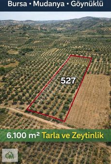 Mudanya Göynüklü De Satılık 3050m2 Arazi
