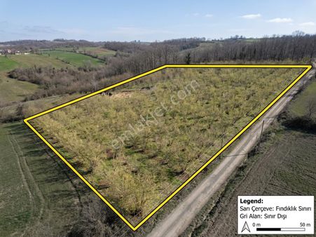 İzmit Kurtdere Mah.1.166 M² Yatırımlık Fındıklık Tarlası