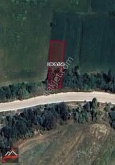 Deniz Yiğit'ten Acil Satılık Civli Mahallesinde 387 M2 Tarla