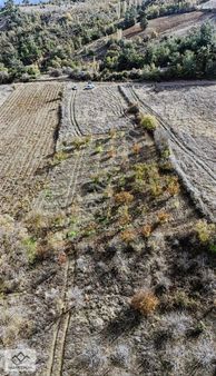 Turgutlu Dağyeniköy Mahallesinde 1907 M2 Tek Tapu Satılık Tarla