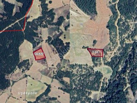 Kütahya Gediz Vakıf Köyünde Toplamda 6.549 M² 2 Tarla Satılıktır