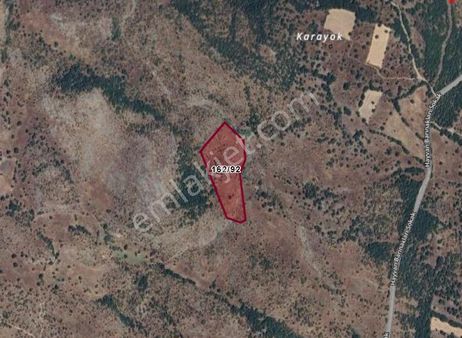 Balıkesir Dursunbey Yukarımusalar Köyünde 19.465 M² Tarla Satılıktır