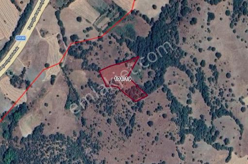 Balıkesir Dursunbey Hondular Köyünde 5.692 M² Tarla Satılıktır