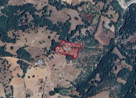 Balıkesir Dursunbey Akyayla Köyünde 6.069 M² Tarla Satılıktır