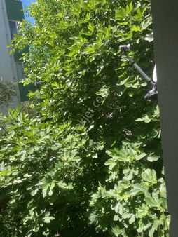 Denize Yakın Arsa Akyaka Merkeze