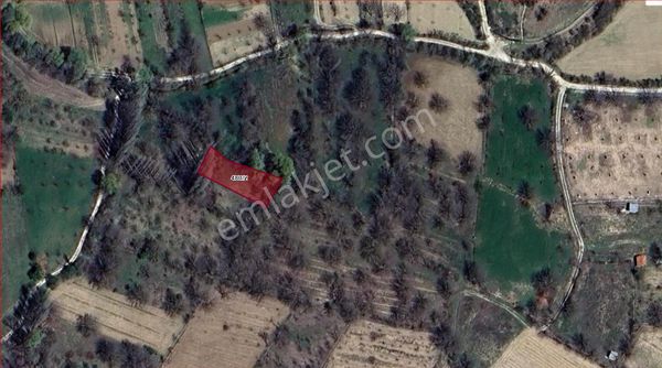 Asya Evim Emlaktan Ağlasun Kum Mah.de Satılık Fırsat Tarla