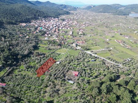 Kuşadası Kirazlıda Harika Bahçe