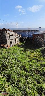 Bilginoğlu Emlaktan Dazyurt Mahallesi'nde Avlulu Ev