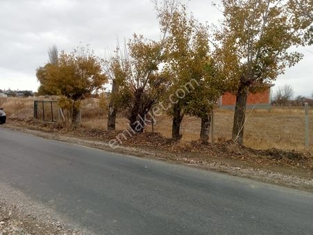 🎯emirceoğlu Mahallesinde Yola Sıfır Yatırımlık 10 Dönüm Tarla Ve Ev 🎯