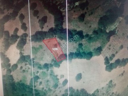 Balıkesir Dursunbey Şabanlar Mah.demirdağ Emlaktan Satılık Tarla.