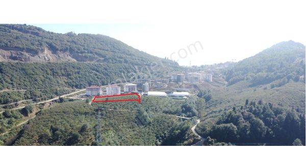 Trabzon Geçit Mah Toki Konutları Yanı Satılık 2438 M2 Arsa