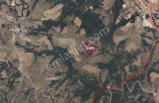 Remax Select'ten Kırklareli Koruköy'de Satılık 12.582 M2 Tarla