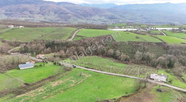 Hendek Merkeze Çok Yakın Sessiz Doğası Tertemiz Arsa