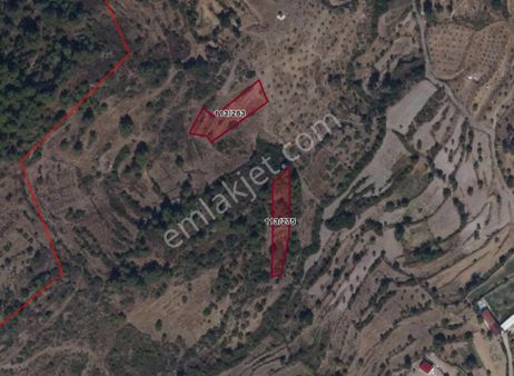 Yola 190 M Uzaklıkta Olan 1 Buçuk Dönüm Yatırımlık Arsa