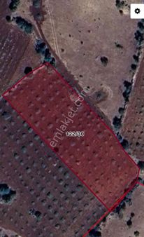 Savur Koşuyolu 4 Parça Yatırımlık Arsa