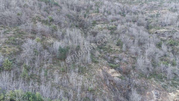 Trabzon Maçka Öğütlü Mahallesi 3383 M2 Satılık Arsa