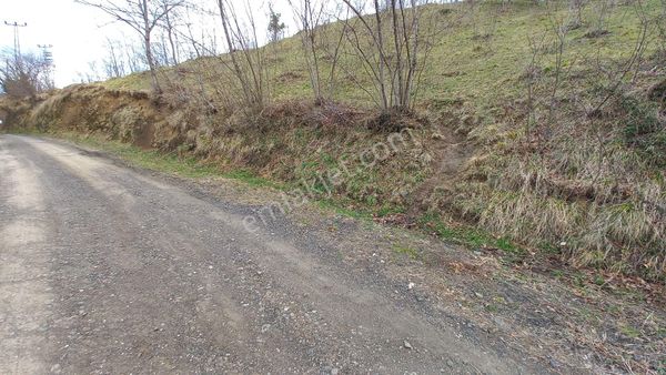 Beşikdüzü Ağaçlı'da Satılık 1.928 M2 Arazi