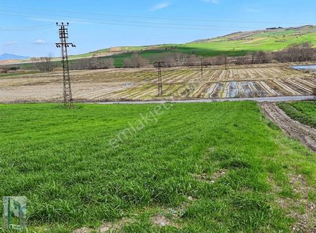 Gönen Biga Ana Asfaltında Satılık 3 Dönüm Tarla