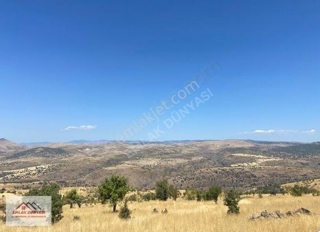 Ayaşta Uygun Fiyata Yolu Olan 6.550 M2 Tarla
