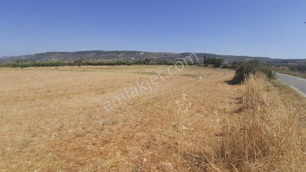 🌿 Dıdım Akköy Mahallesinde Göl Manzaralı Satılık Tarla 🌿