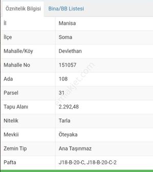 Soma Devlethan Köyü'nde Satılık Fırsat Zeytinliği