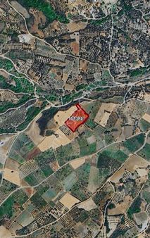 Şarköy Gaziköy Full Deniz Manzaralı İmarda Sorunsuz 1100 M2