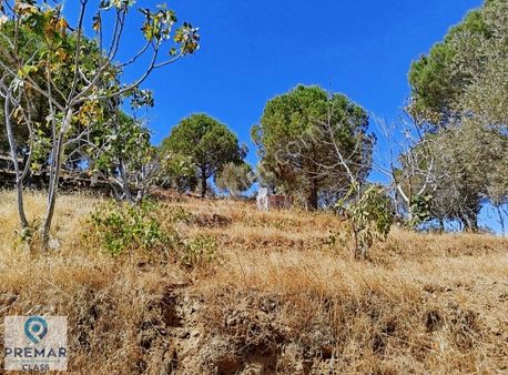 Koçarlı Çulhalar Da Anayola Sıfır Satılık İncir Bahçesi