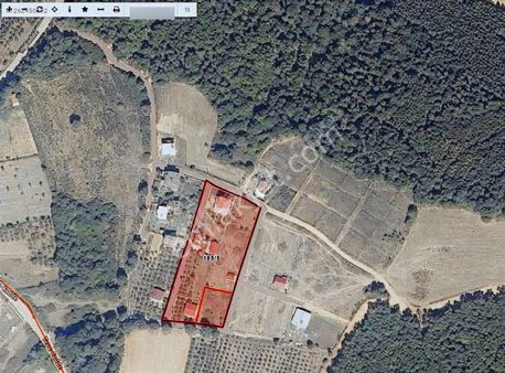 Kandıra Kefkende Plaja Yakın Satılık Arazi