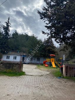 Bilecik Osmaneli Soğucakpinar Acilll Satılık Tarla 687 Mk Kaçırmayın
