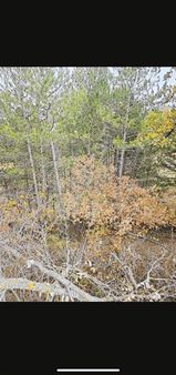 Banaz Düzlücede 1500m2 Ormaniçi Yolu Olan Tarla