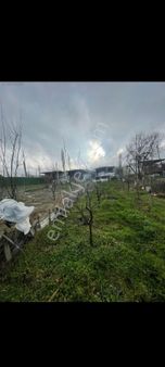 Pw Plus 'dan Kestel Aksu Köyü' Nde Ana Yola Sıfır Hobi Bahçesi