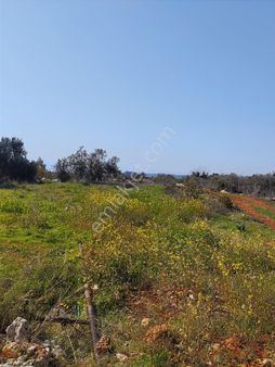 Ayaş Kanlıdivanede Satılık İmar Edilmiş Tarla