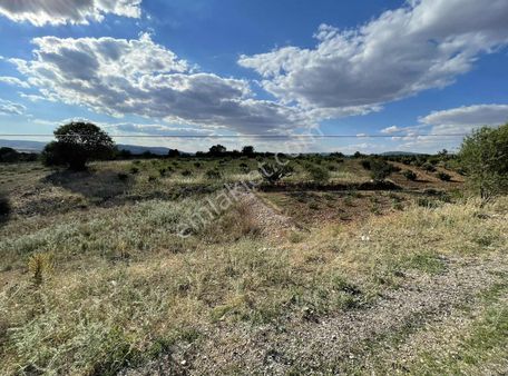 Denizli-izmir Yolu Üzeri Satılık Bağ