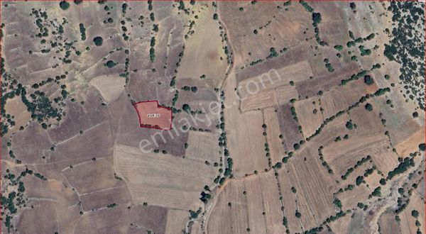 Ağlasun Çanaklı Köyünde Satılık Fırsat Tarla