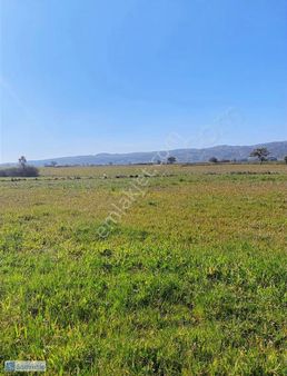 Satılık Fırsat Arazi 150 Mt Kadastrol Yola Cepheli