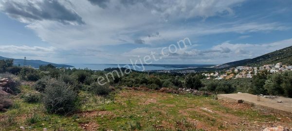 Akbük Hekimler Full Deniz Manzaralı Arsa 270 M2