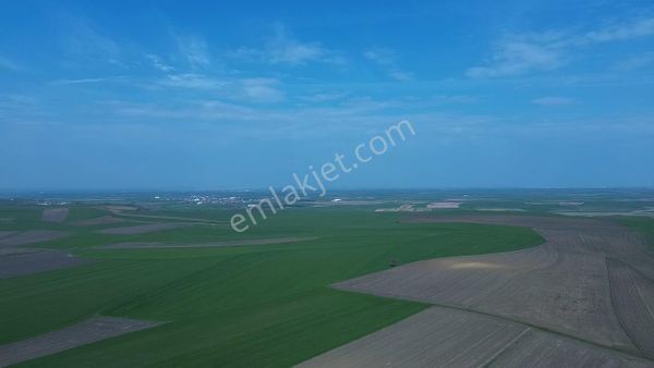 Hayrabolu Kılıçlar Köyün'de Satılık Kupon Tarla