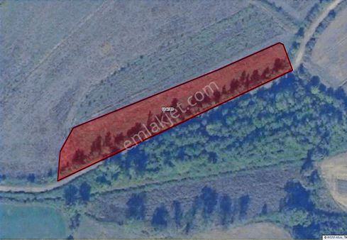 Ekşioğlu Gyd'den Hendek'te 6715 M2 Müstakil Tapulu Satılık Arazi