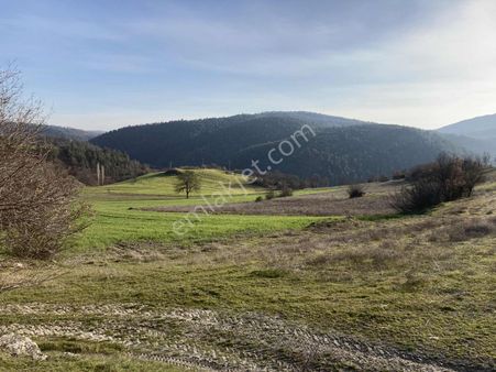 Beynil'den Orhaneli'de Satılık 20 Dönüm Arazi